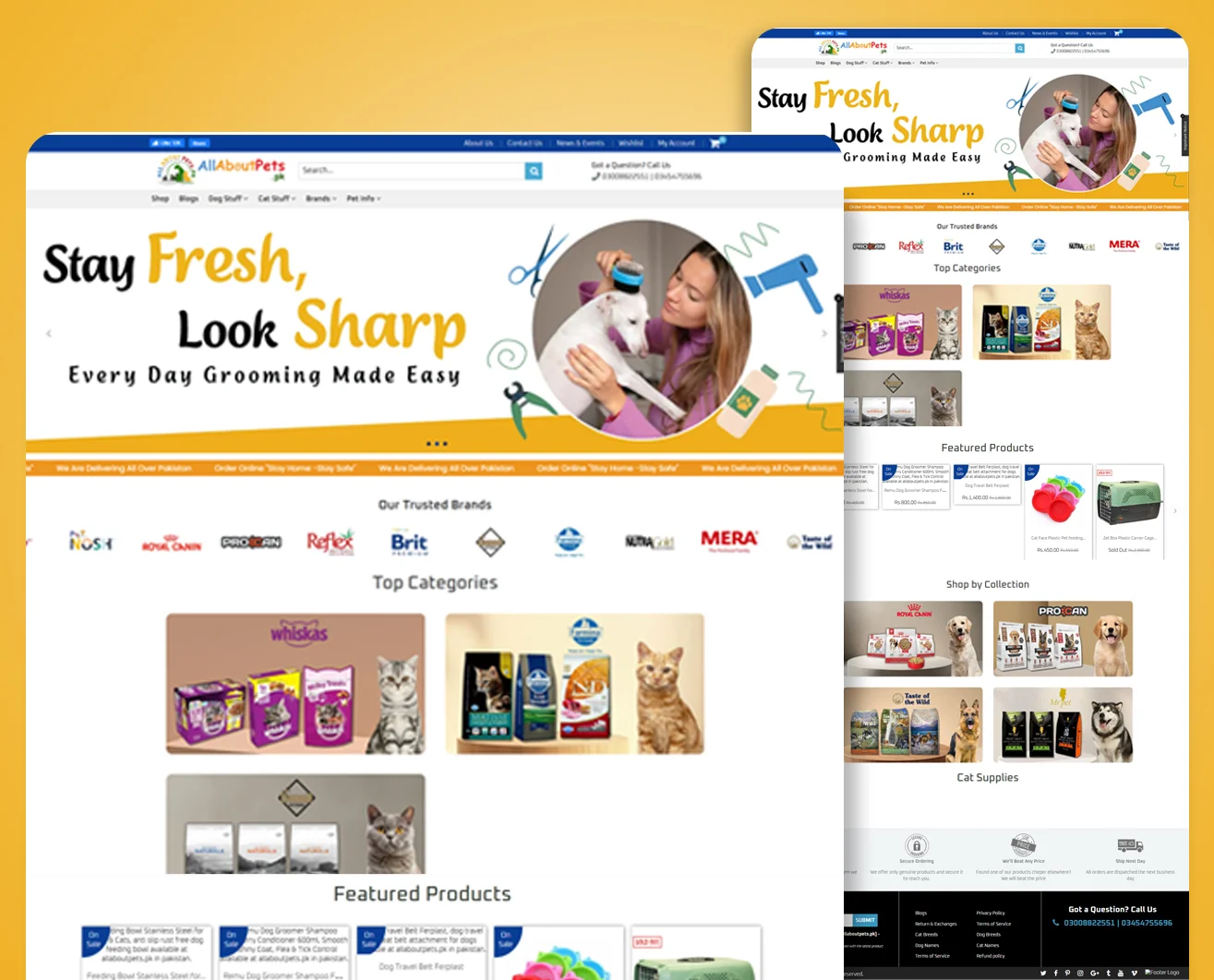 Custom pet care and animal information website built through professional web development services