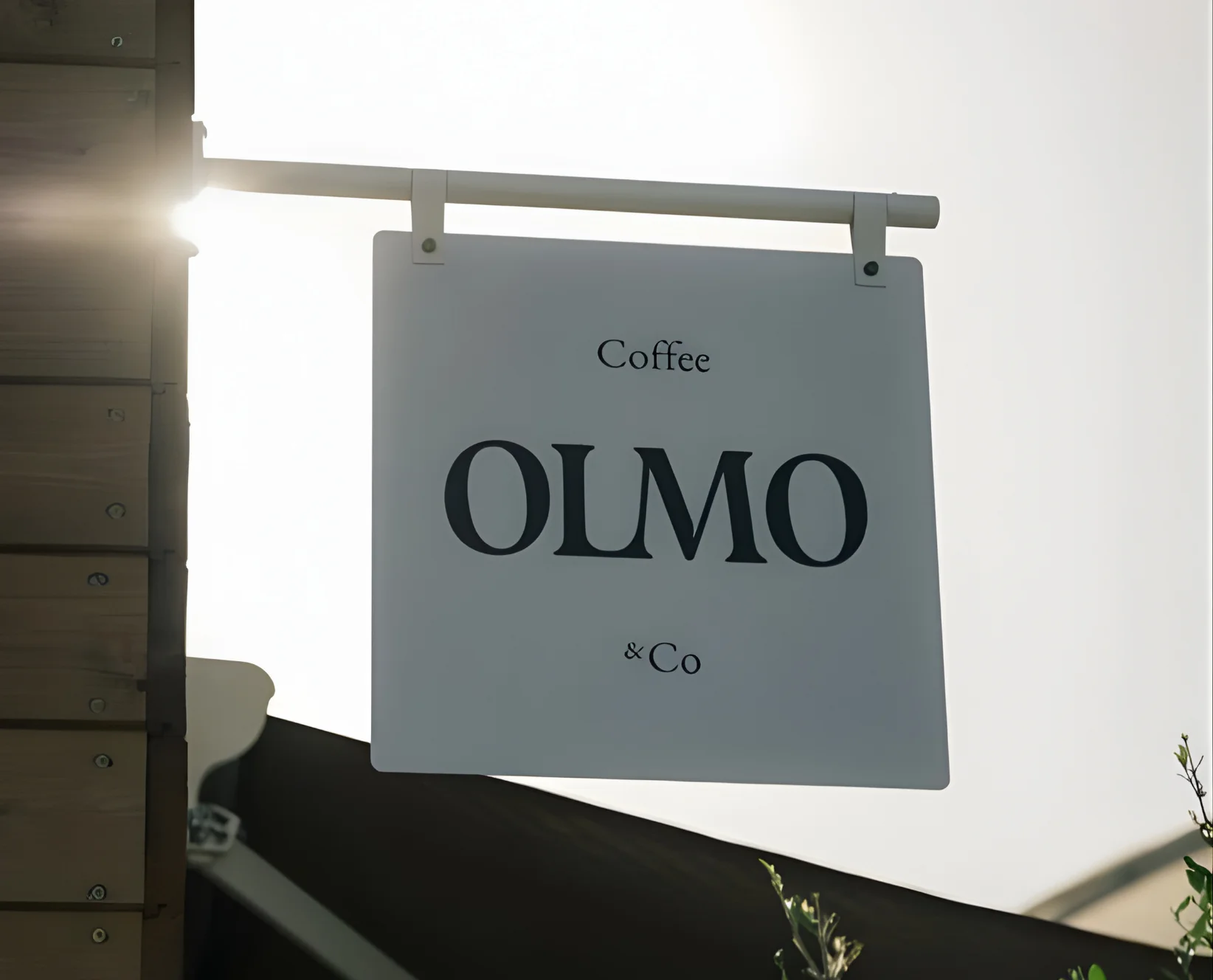 Creative branding project showcasing The Brands Bureau’s work for Olmo & Co